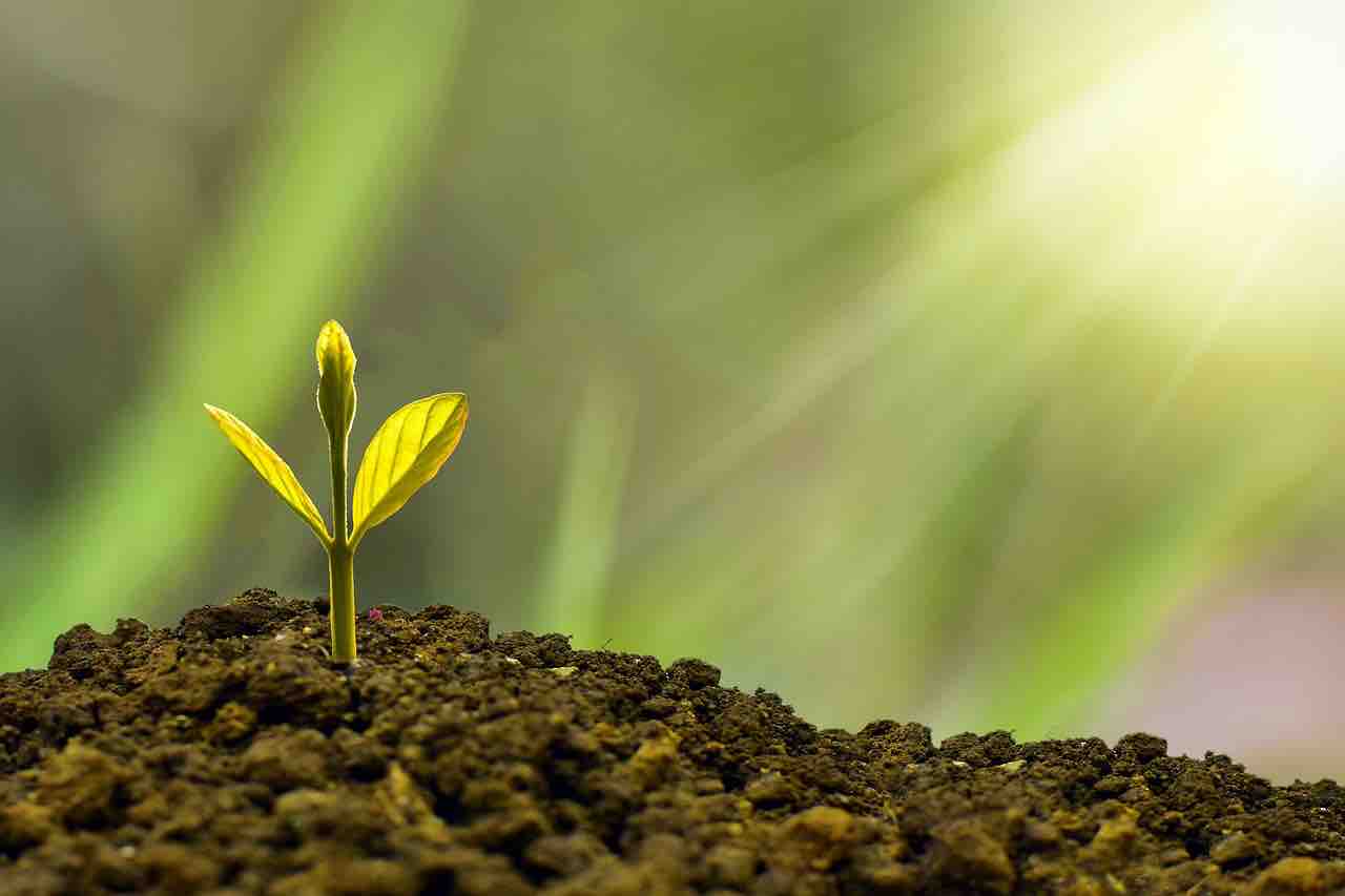 The Power of Meditation for Personal Growth